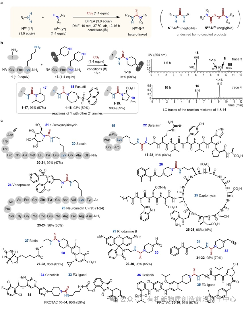 陈弓:基于CS₂的“极简”伯胺-仲胺生物偶联